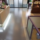 댕댕애견 이미지