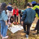 화성매송초등학교 이미지