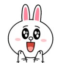 루이애견 이미지