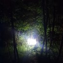 생명나무약국 | 생명 전공생의 생태학 수강 후기 - 곤충 채집, 방형구 조사, 진드기에 물리기, 생물 다양성 상관 분석 까지