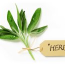 (주)휴팜 이미지