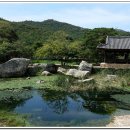 세연정 티스토리