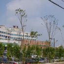 경기도의료원 이천병원 이미지