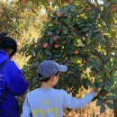 미주농장 이미지