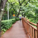 안민고개길 입구 이미지