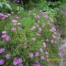 용소농장 이미지