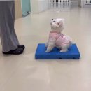 털로덮인친구들 수원시청역점 이미지