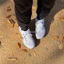 압구정-245 | 나이키 러닝화 추천 페가수스41 사이즈선택 마라톤 훈련 후기