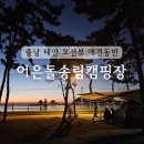 B36 | 충남 태안 애견동반 캠핑장 바닷가 앞 차박 가능한 어은돌송림캠핑장