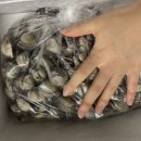 벌교꼬막 직거래 유통 이미지