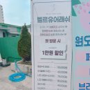 유어래쉬 이미지