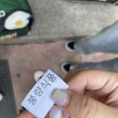 분당 정자역 매운 갈비찜 효원식당 후기