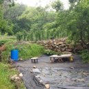 개울농장 이미지