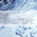 탐나다 에스테틱 네이버블로그