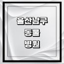 경상동물병원 | 울산 남구 근처 동물병원 추천 정보 | 24시간 잘하는곳 고양이 강아지 중성화 수술 애견 가격 비용...