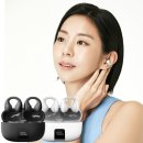 멍멍이를 부탁해 | 2026년 2분기 일상 모음