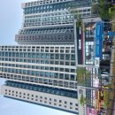 26-5/22-금 샌드위치-아침밥 부천백만송이장미원-산책 도당산근린공원-산책 짬뽕밥-점심 로또구입 이미지