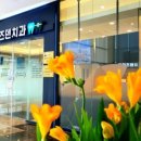 와이즈덴치과의원 이미지