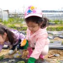 리라농장 이미지