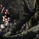 호수여인숙 이미지