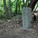 외금양계비 이미지