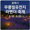 무릉별유천지 진입로 | 동해시 ‘무릉별유천지 라벤더 축제’ 가는법 여행 일정(6.14~6.22)