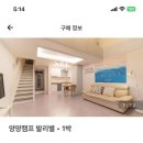 양양 캠프 발리별 이미지