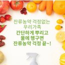 우리야채;과일