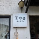 꽃향유 | 제주 카페 추천 카페패스 -꽃향유 (내돈내산)