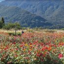 황산공원 족구장 이미지