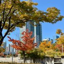 유진한의원 | # 25. 11월의 소중한 일상