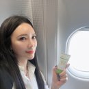 세이프큐어 이미지