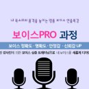 보이스디자인