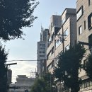 단성사 | 종로 웨딩링 맞춘 후기(단성사, 루시 쥬얼리 내돈내산)