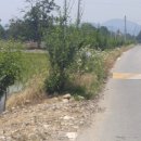 금마로공인중개사사무소 이미지