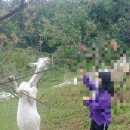 해원목장 이미지