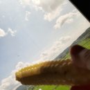 삼성행운공인중개사사무소 이미지