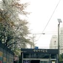 장암이마켓 네이버블로그