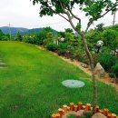 기억나무펜션 이미지