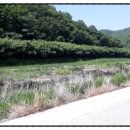 한골농장 이미지