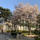 삼육대학교 | 삼육대학교 수영장 강습 정보 및 후기(+삼육대학교 체육문화센터 수영장,졸업생 할인 대상,탈의실,주차...