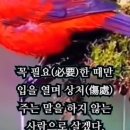 백산의원 Daum카페