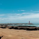 제주사계 이미지