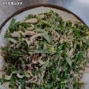 토종장수순대 이미지