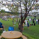 와우공원 이미지