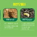 노루벌적십자생태원 이미지