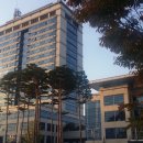 호인축산 티스토리