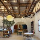 레게치킨 | 필리핀 보홀 맛집 미슐랭급 맛 분위기 나무카페 후기