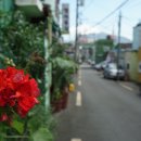 부산 투어리즘 센터