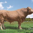 유전농장 이미지